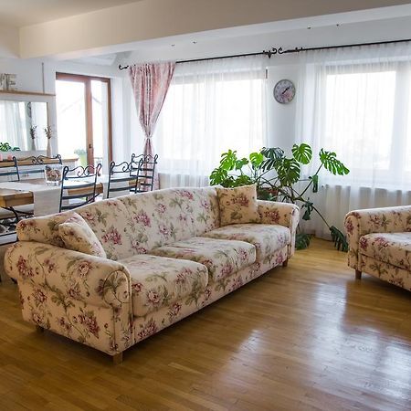 Silvia'S Apartment Voluntari Zewnętrze zdjęcie