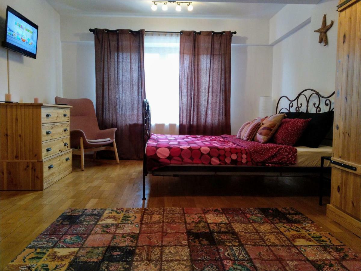 Silvia'S Apartment Voluntari Zewnętrze zdjęcie